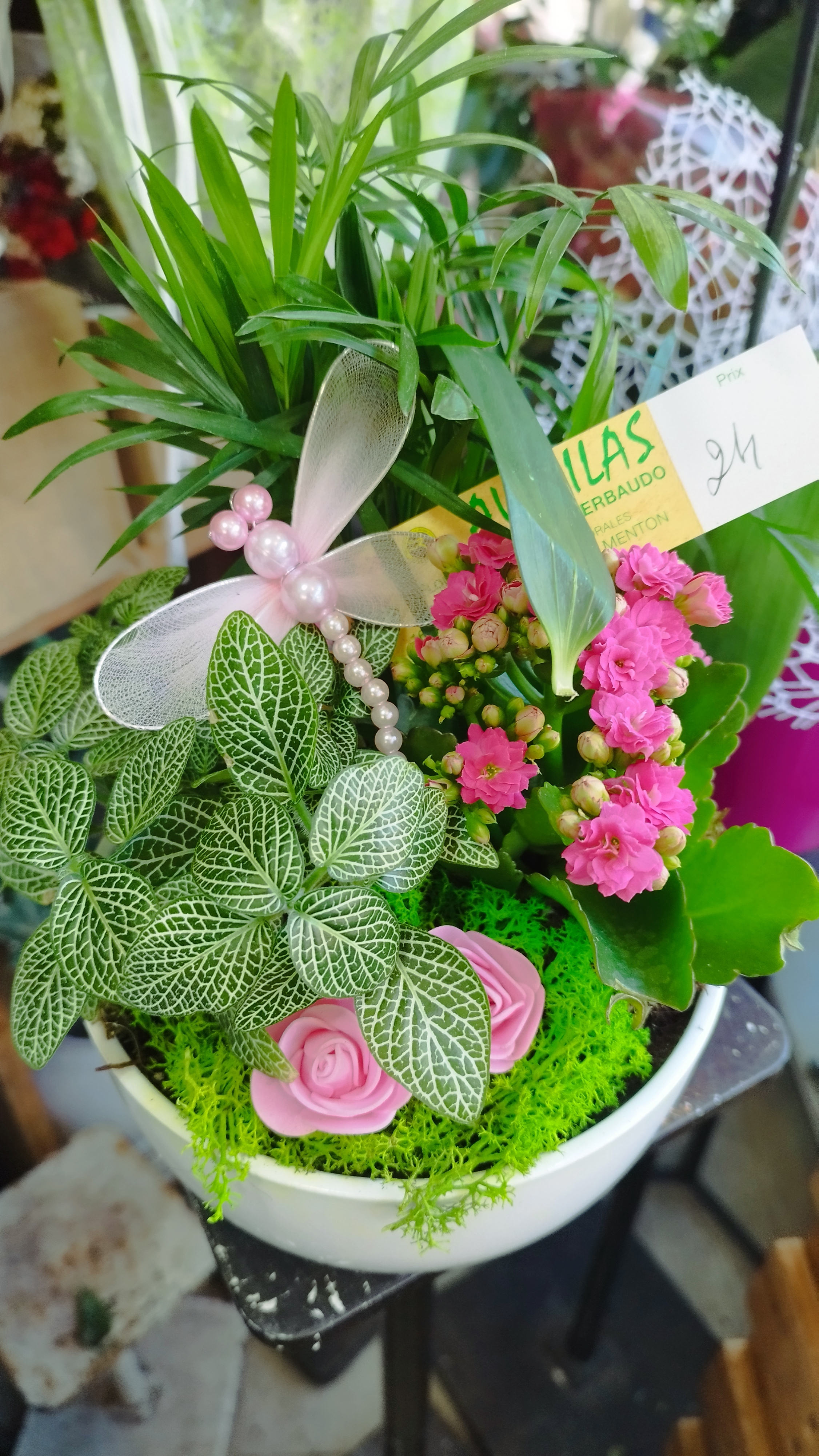 Coupe de plante 2