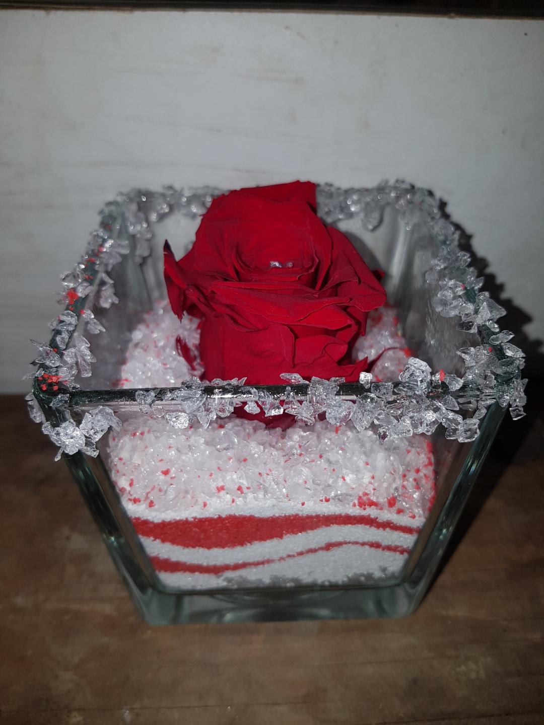Rose éternelle 1